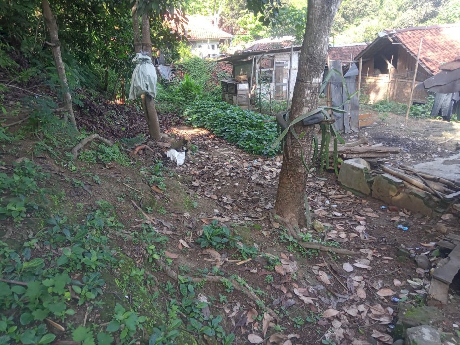 Di jual cepat tanah dekat jalan raya