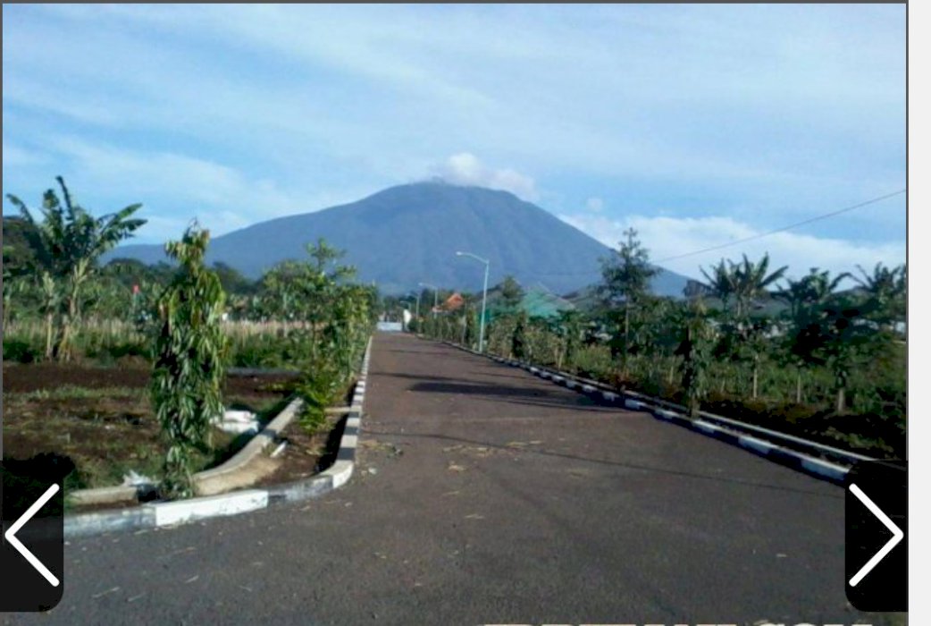 Di jual villa dan green house+ kebun alpukat