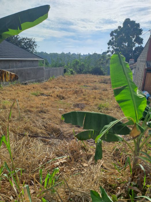 Di jual tanah ciaruten ilir cibungbulang bogor.depan prasti