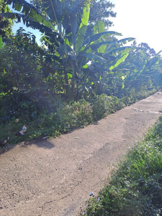 D jual tanah jalan terobosan sumarecon cipayung bogor jawa barat