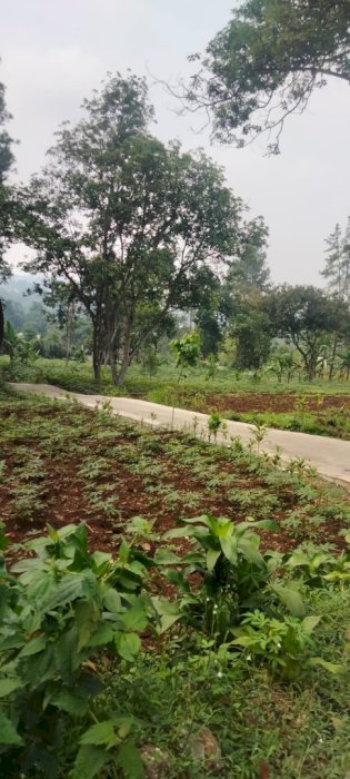 Di jual tanah pasir angin bogor jabar