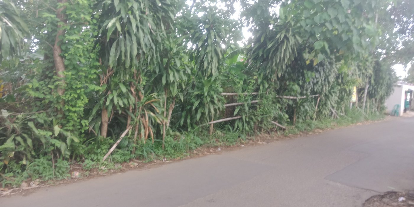 Tanah dijual daerah belakang pemda Cibinong