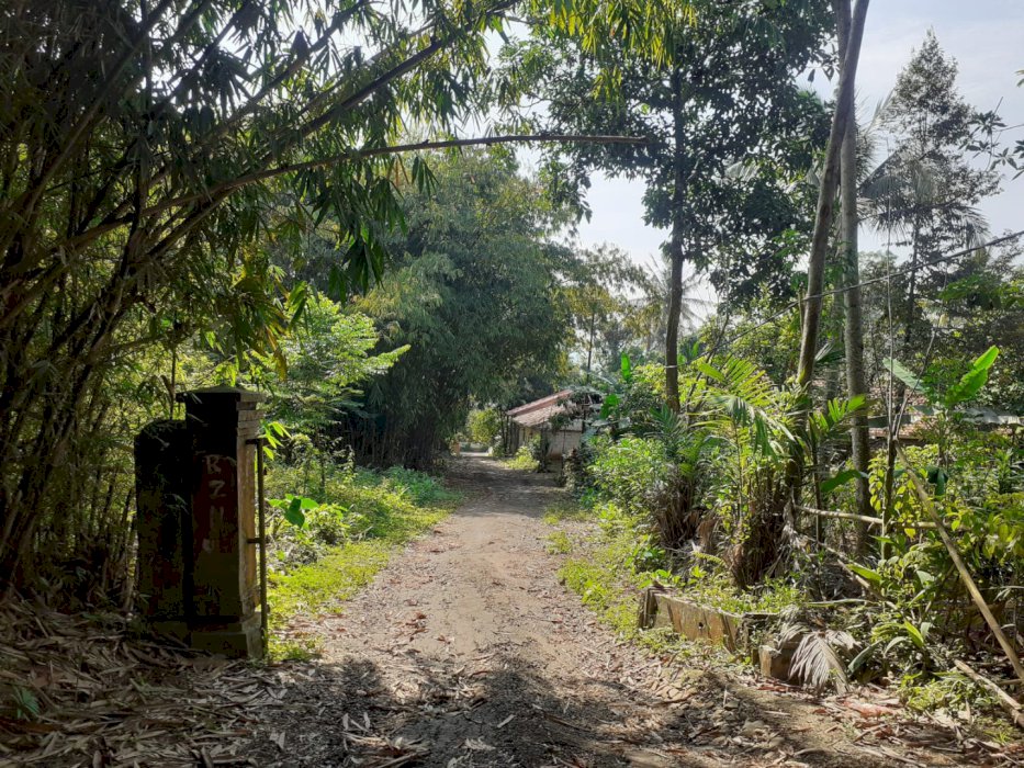 Dijual cepat tanah murah