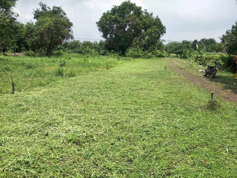 Jual tanah rembang pasuruan 45JT