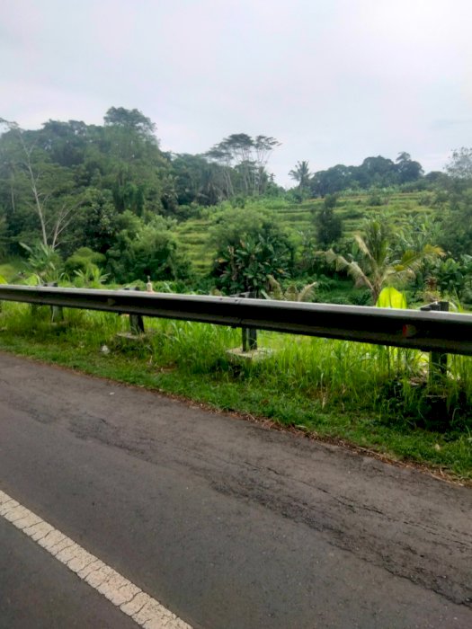 Di jual tanah di jalan utama desa punggul
