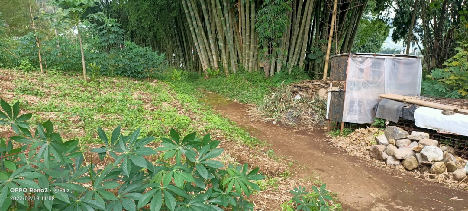DI JUAL TANAH DI MBAH AGENG MAYANGSARI JAWA TIMUR