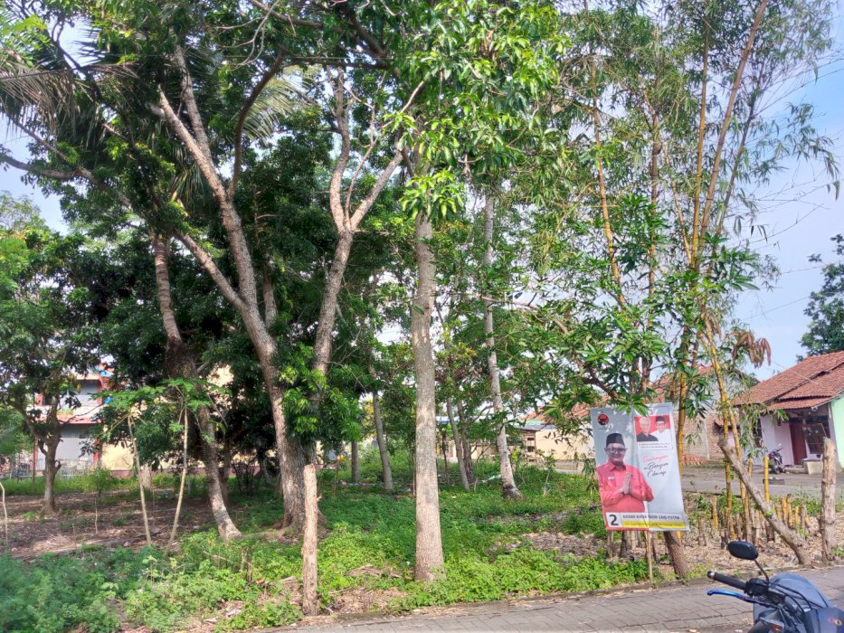 Dijual tanah lokasi strategis belakang SD Mertasinga 02 Cilacap