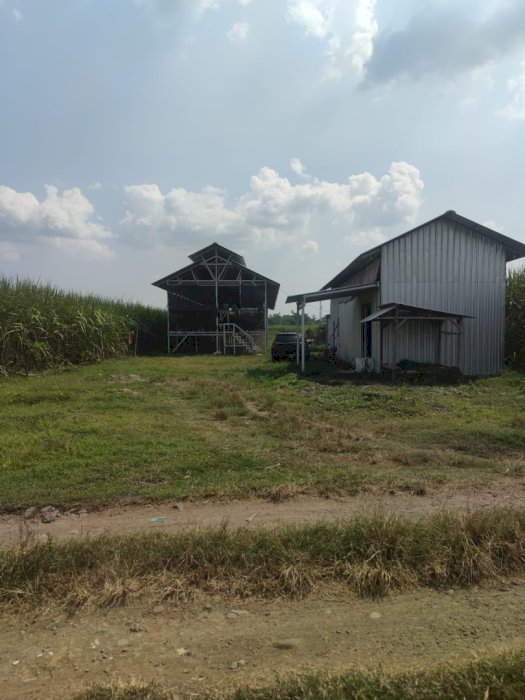 Jual cepat tanah sudah SHM