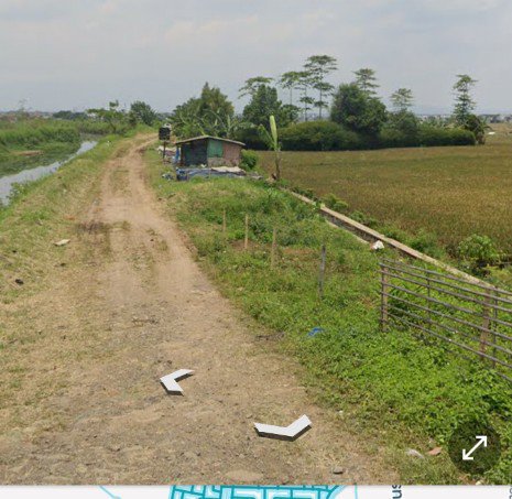 Jual tanah sawah /tanah padat