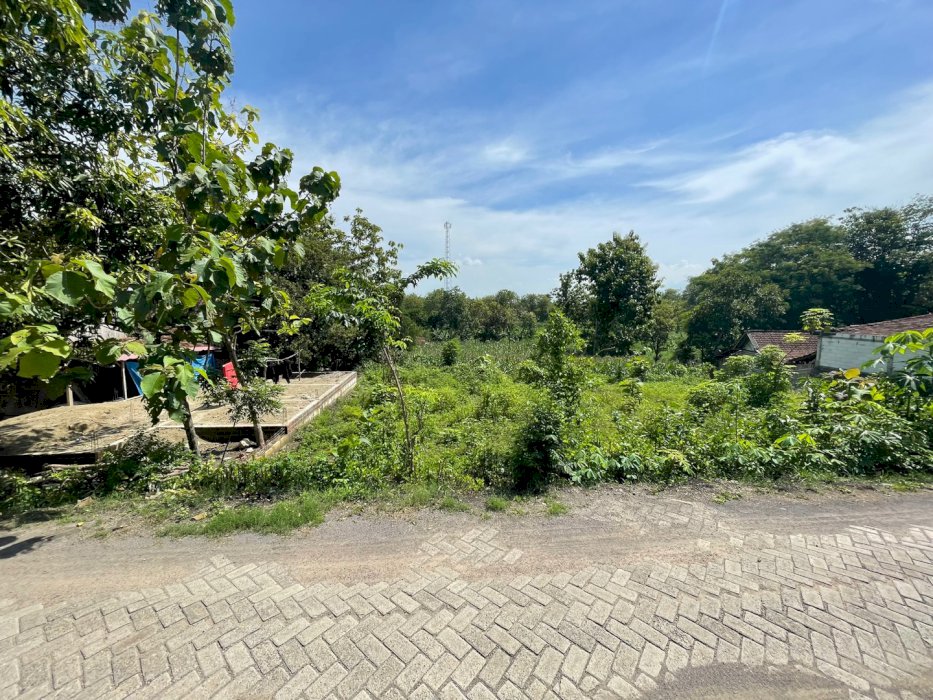 Jual tanah di pitu ngawi