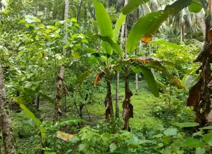ada yg berminat silahkan hubungi kami cek harga