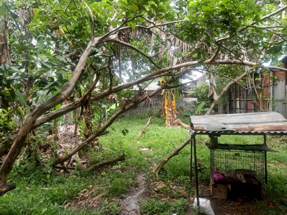 DIJUAL TANAH MURAH LOKASI STRATEGIS JAGAKARSA JAKSEL