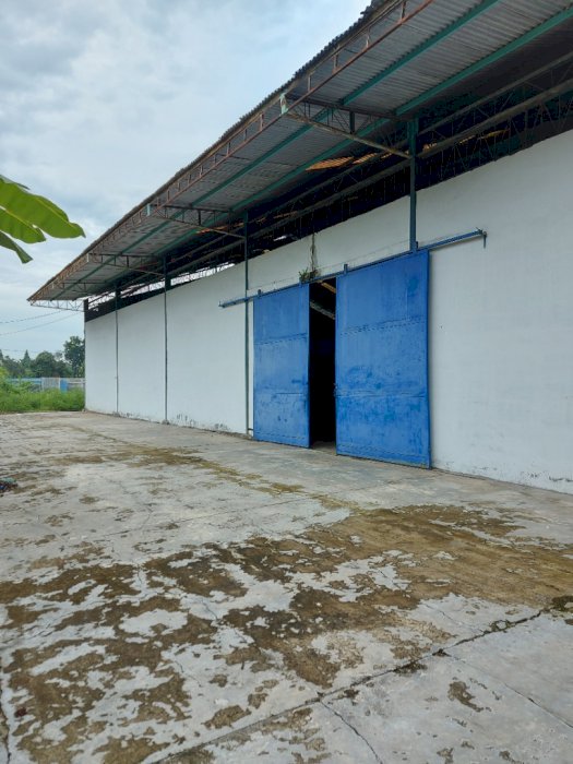 Tanah plus gudang  kelambir 5 hamparan perak