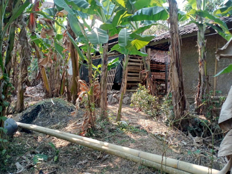 tanah murah ,buat impes ,cck tanam buah2 an