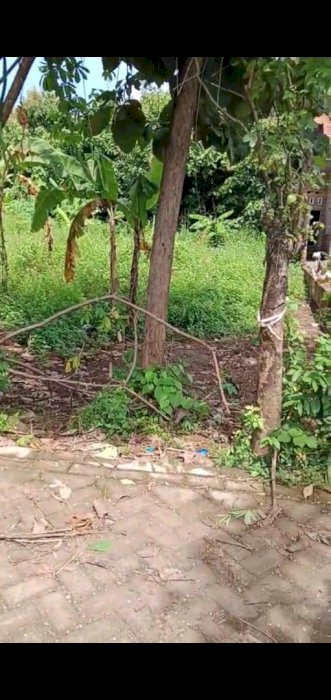 JUAL TANAH  AREA MOJOKERTO