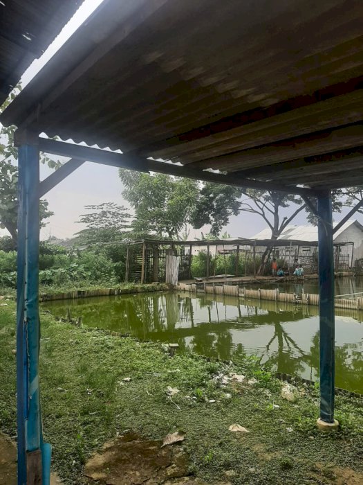 JUAL TANAH MURAH CIKARANG BARAT KAB BEKASI