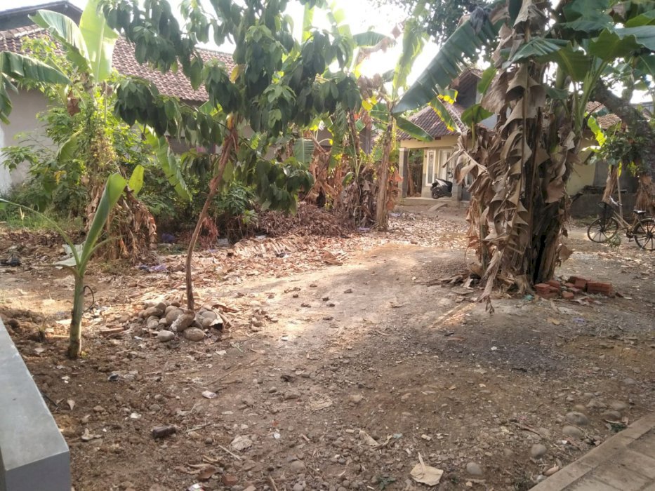 Dijual Tanah Murah di Pekalongan, Jawa Tengah