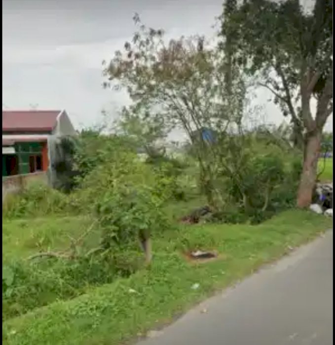 JUAL TANAH PINGGIR JALAN CUT NYAKDHIN BINJAI