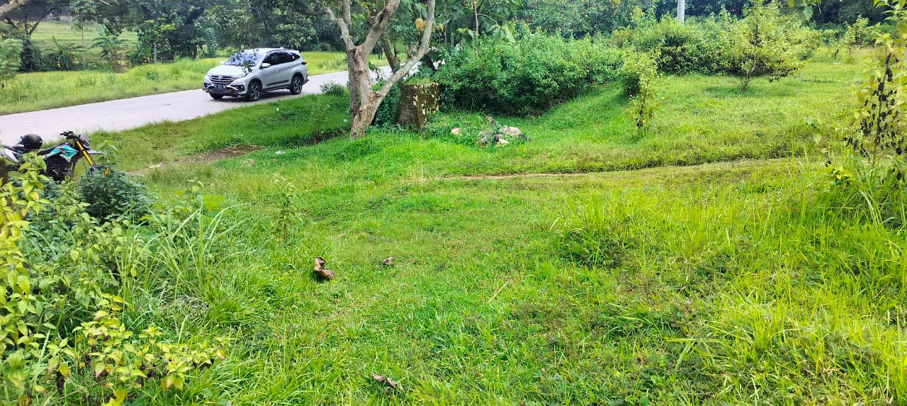 Dijual tanah pinggir jalan raya