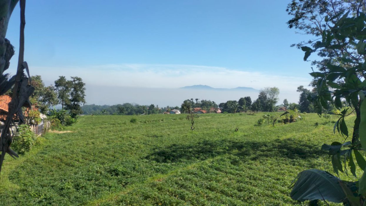 DIJUAL TANAH MURAH STRATEGIS DI CAMPAKA MULYA CIMAUNG BANDUNG