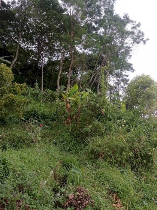 DI JUAL CEPAT TANAH DAERAH BANDUNGAN SEMARANG