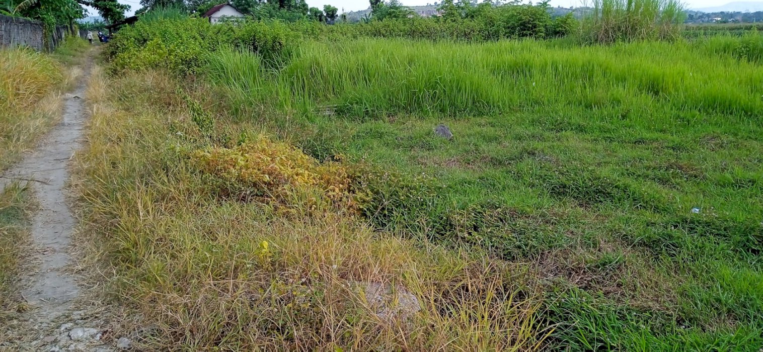 Di jual tanah 5 hektar