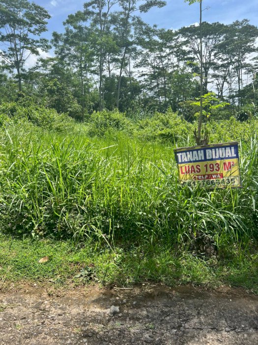 DIJUAL TANAH MURAH LOKASI STRATEGIS DI BOYOLALI