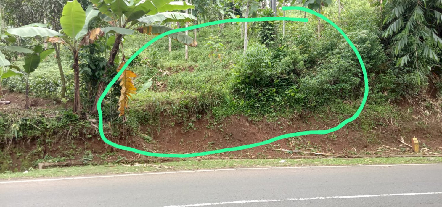 JUAL TANAH LOKASI STRATEGIS DI SUMEDANG-SUBANG DESA WARGA LUYU