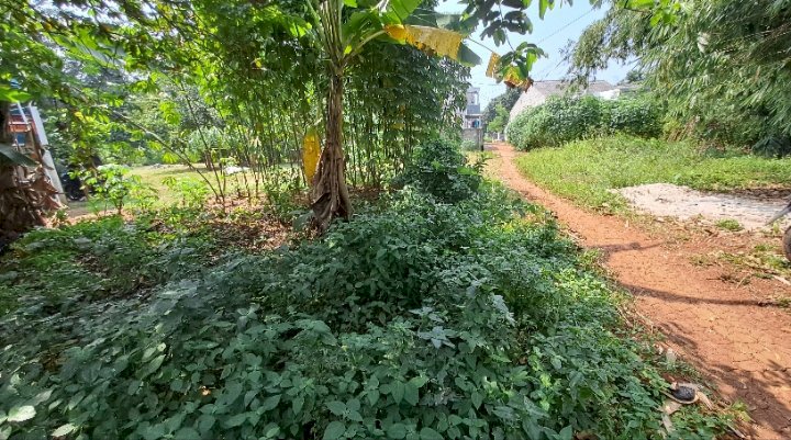 DI JUAL TANAH DARAT MURAH
