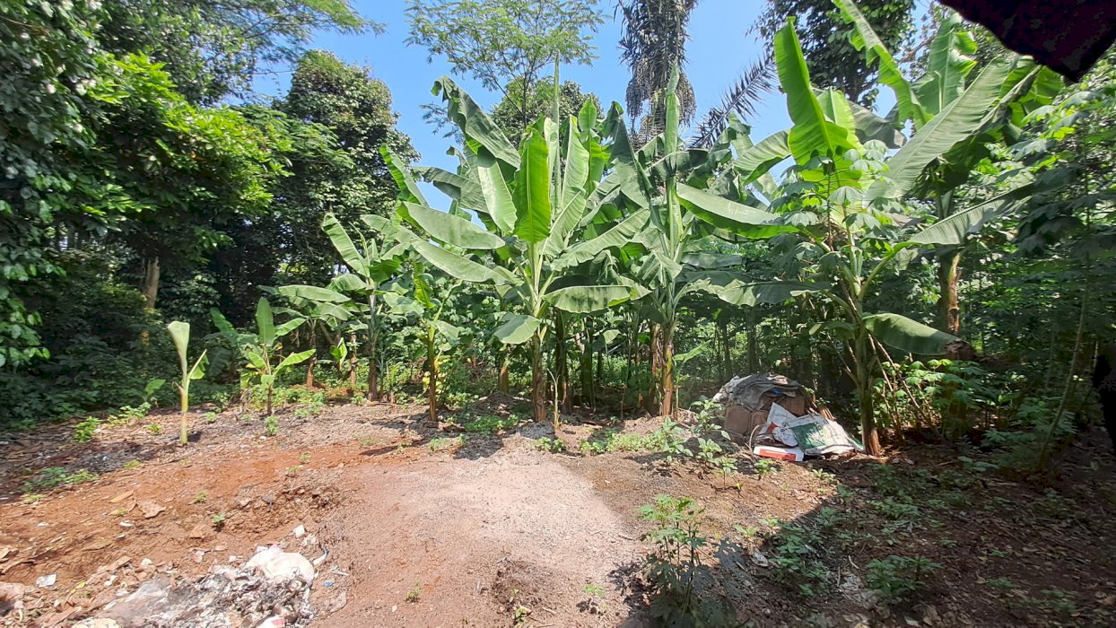 Di Jual Tanah Darat 5