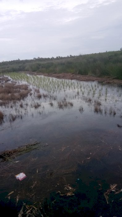 Dijual lahan kosong bersertifikat