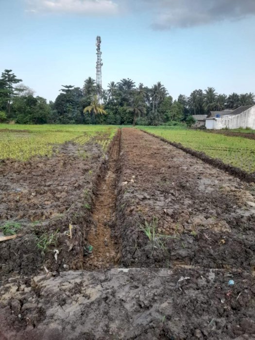 DIJUAL TANAH KAVLING MURAH STRATEGIS DI METRO LAMPUNG