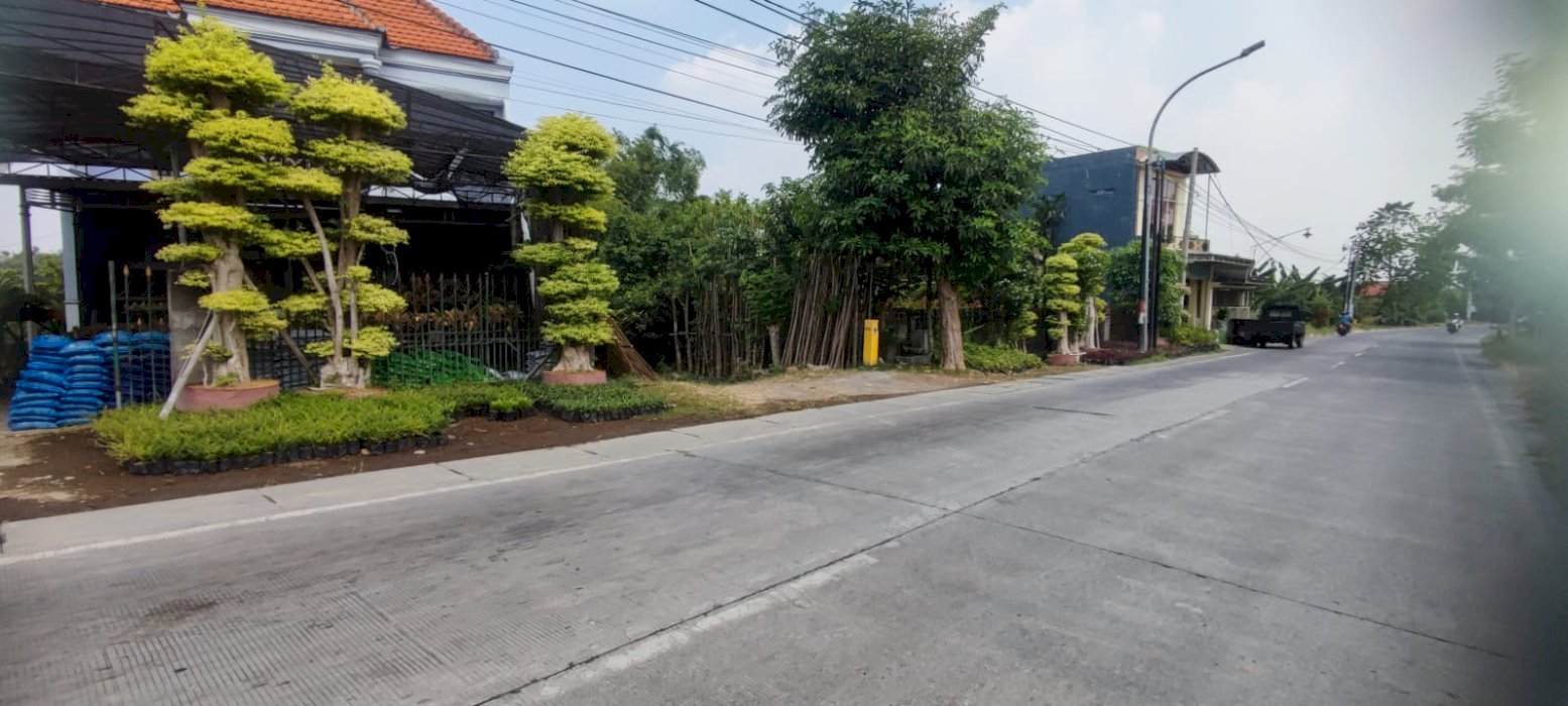 TANAH KEDAMEAN GRESIK