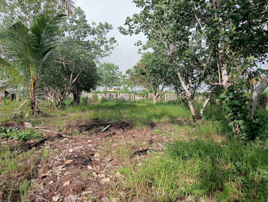 Jual Tanah di kab.Sorong Jln.Kontener