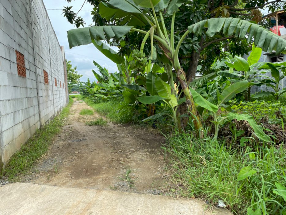 Dijual tanah cepat tanpa perantara