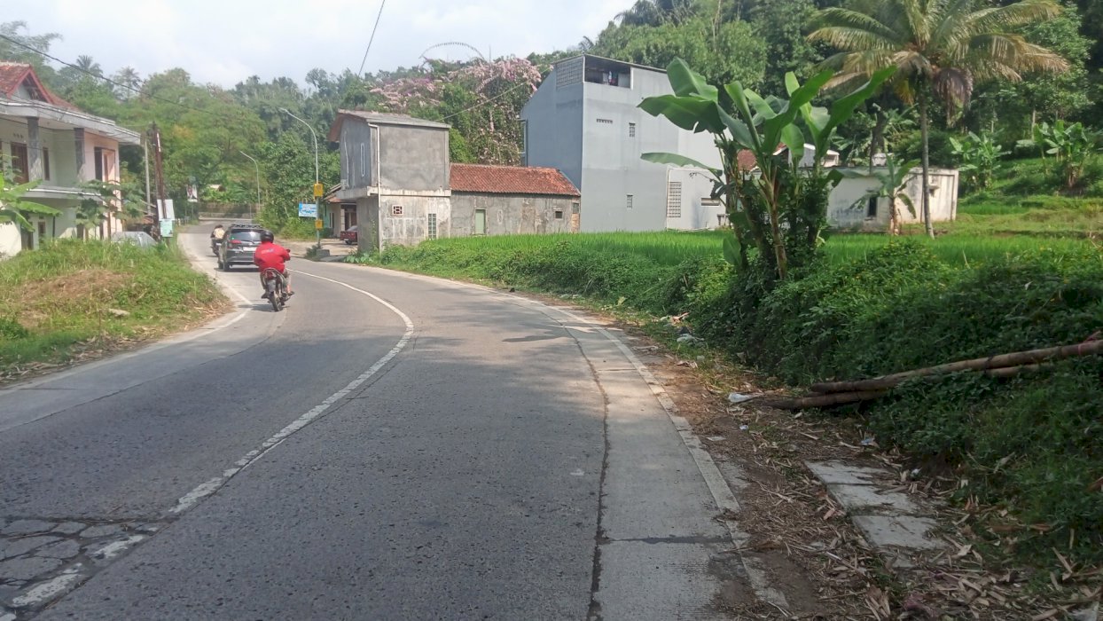 jual tanah ,sawah jln propinsi
