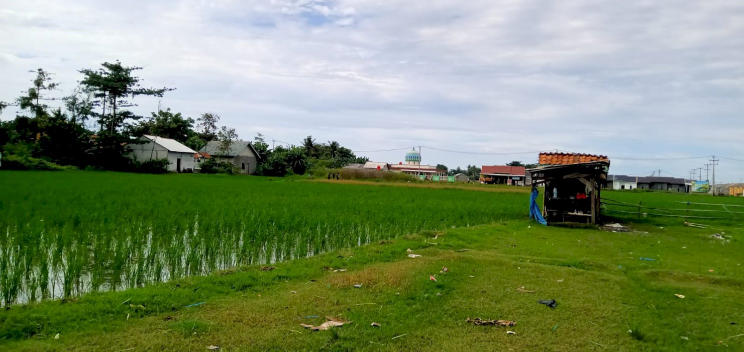 Tanah cocok buat tempat usaha dan perumahan claster