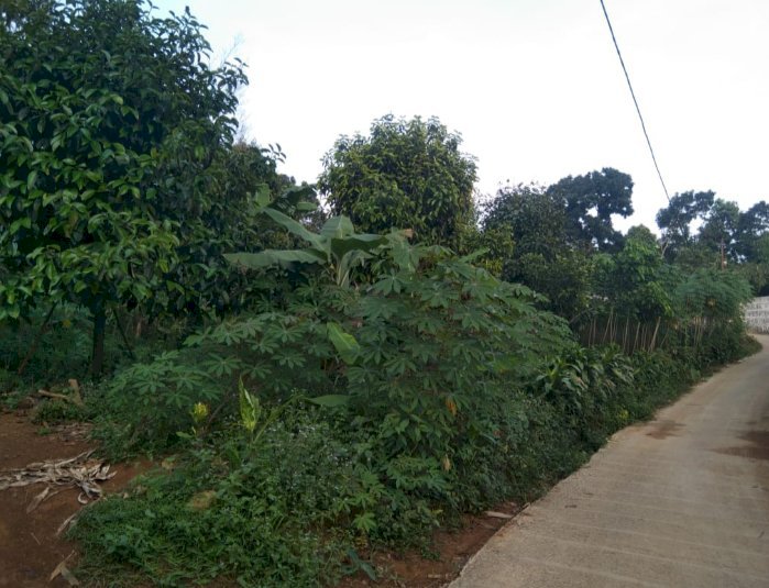 Jual Tanah Pinggir jalan