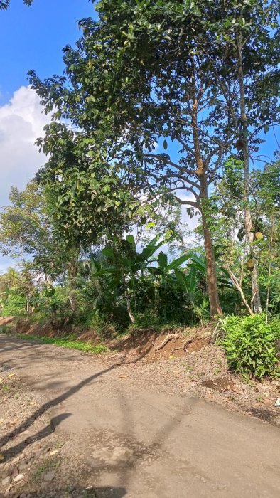 Jual tanah depan jalan di kampung