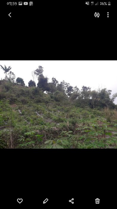 Tanah strategis berpotensi emas