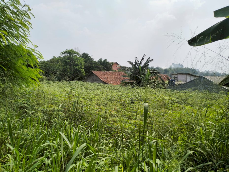 DIJUAL TANAH MURAH LOKASI STRATEGIS DI PEMDA CIBINONG BOGOR