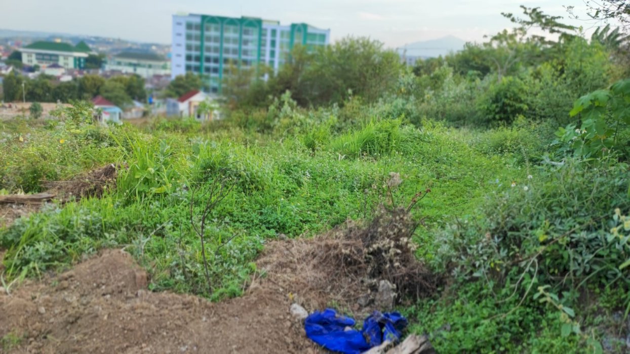 Di Jual Tanah Murah Belakang Unimus  Tembalang Semarang