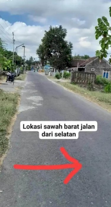 Tanah Murah Bantul Pinggir jalan aspal