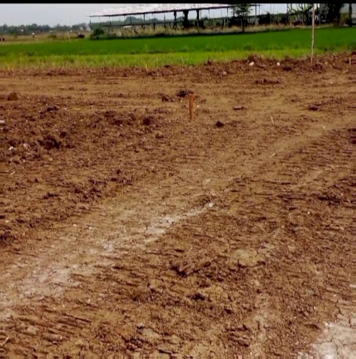 Di Jual Kavling Murah Lokasi Strategis Di Grogol Sumberejo Bojonegoro