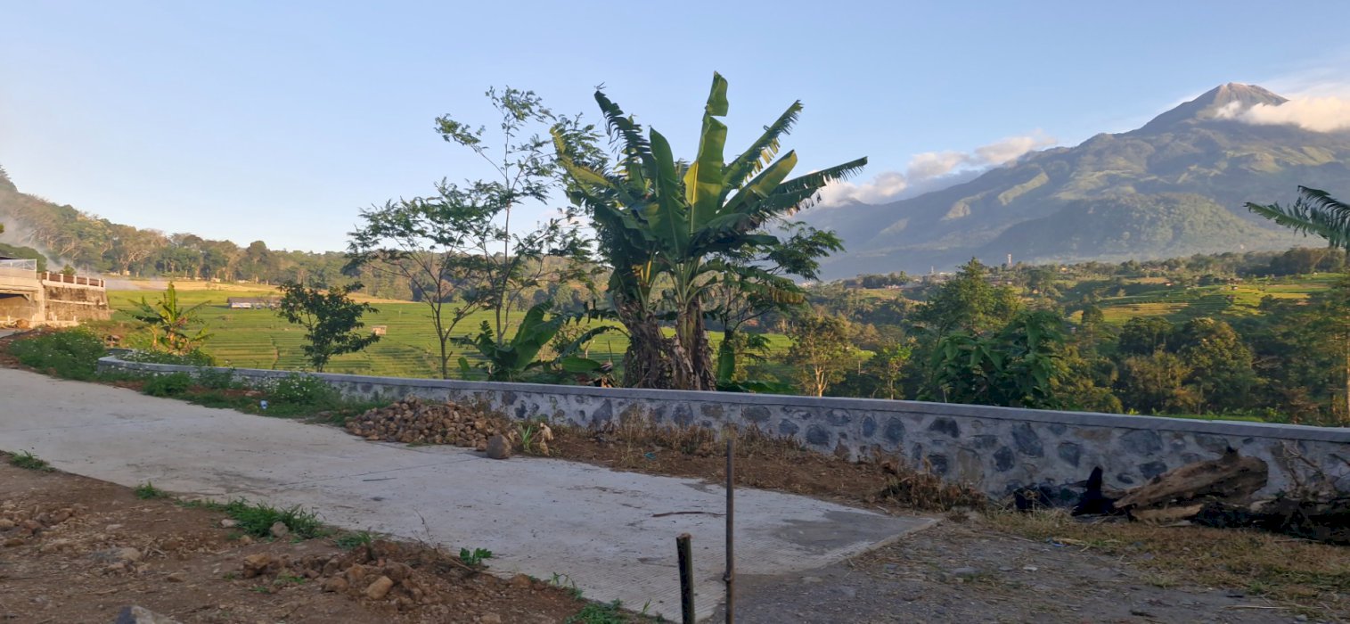 Jual Tanah Trawas Murah