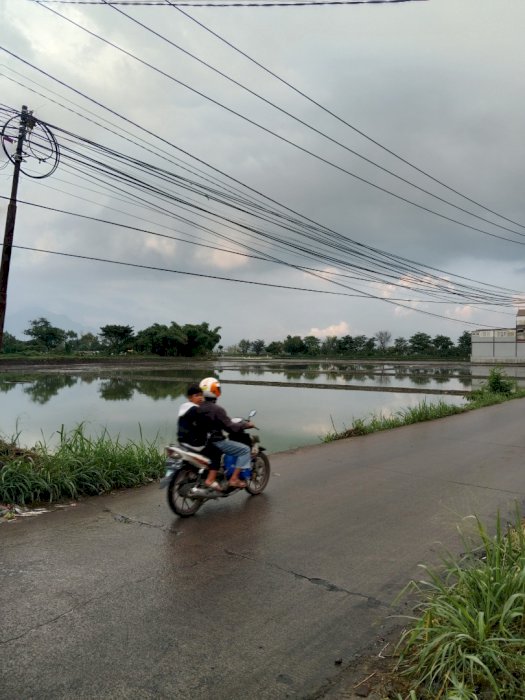 Penjualan tanah sawah produtif