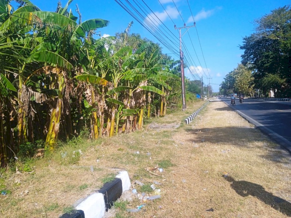 TANAH DI JUAL PINGGIR JALAN BESAR TIMOR RAYA DESA OEBELO BANTING HARGA