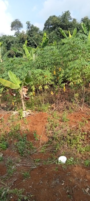 Yu mungpung lg ada lokasi yg bagus