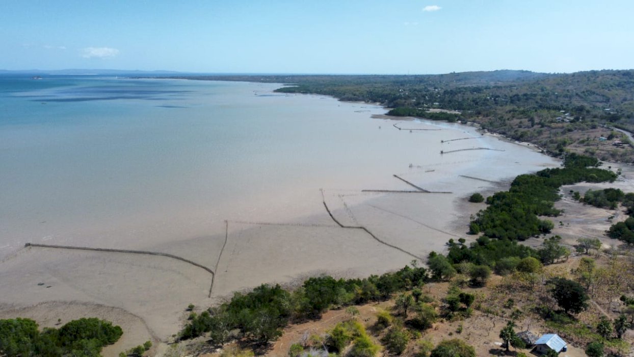 TANAH DI JUAL ( Pinggir pantai Desa PITAI ) SULAMU NTT BANTING HARGA