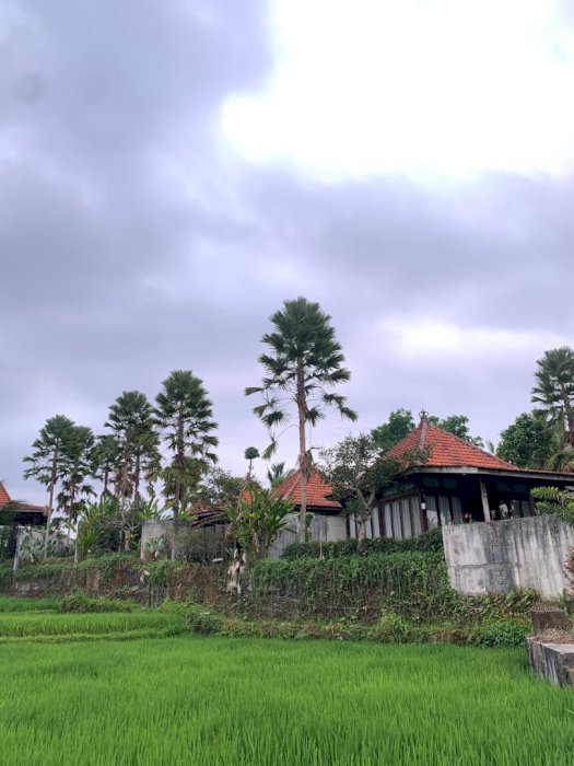 BUC! DIJUAL RESORT di TEGALALANG UBUD, BALI